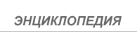 ������ � ������� ������������� ��������� Develop